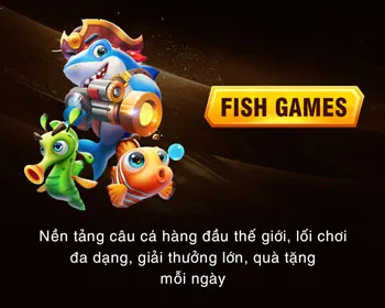 Giấy phép hoạt động và uy tín